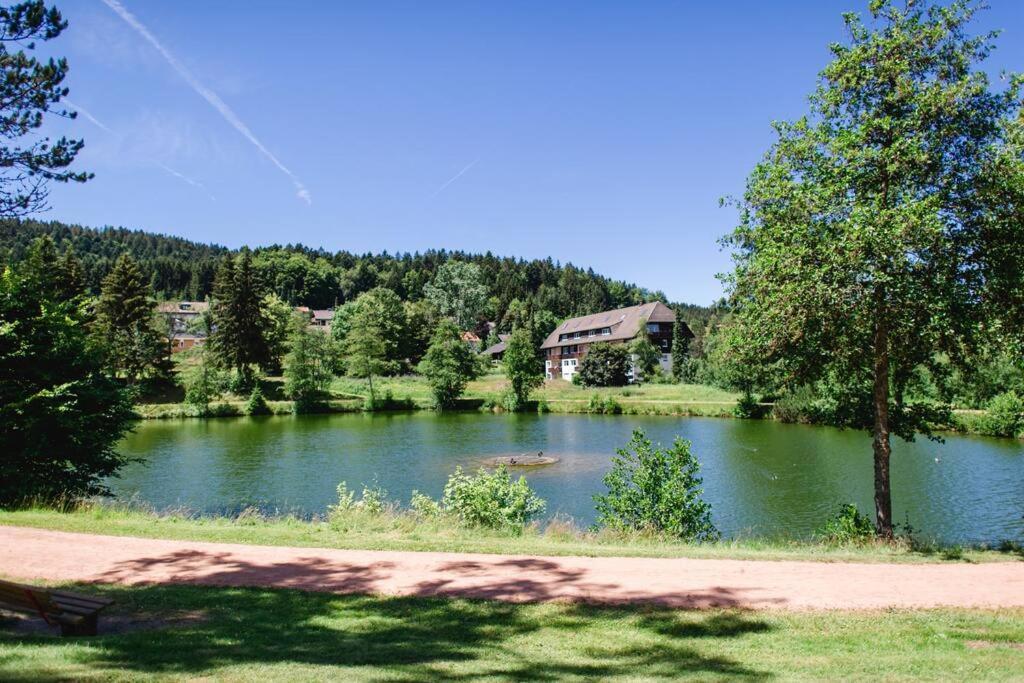 Ferienwohnung "Am Skilift" Herrischried Esterno foto