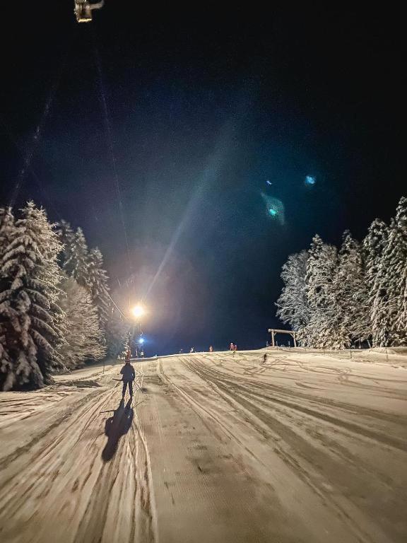 Ferienwohnung "Am Skilift" Herrischried Esterno foto