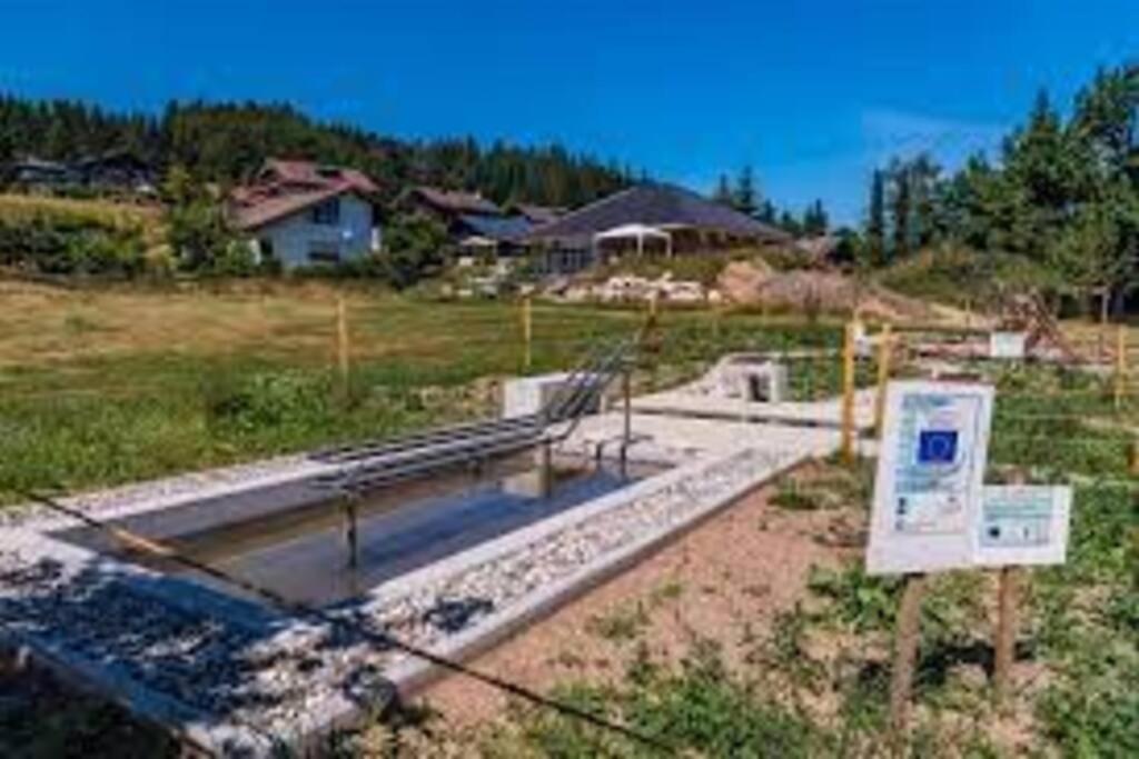 Ferienwohnung "Am Skilift" Herrischried Esterno foto