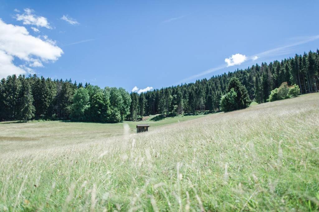 Ferienwohnung "Am Skilift" Herrischried Esterno foto