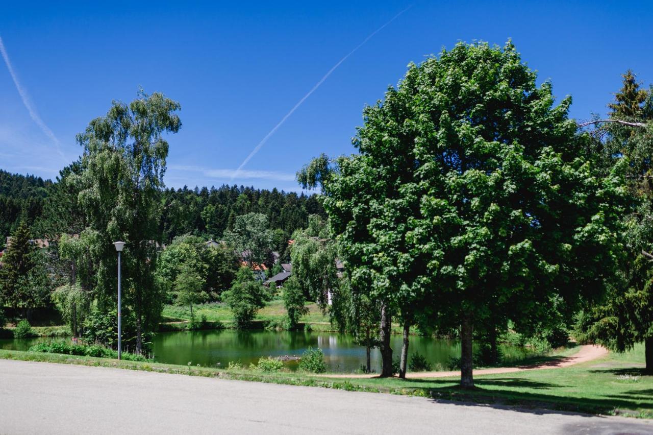 Ferienwohnung "Am Skilift" Herrischried Esterno foto