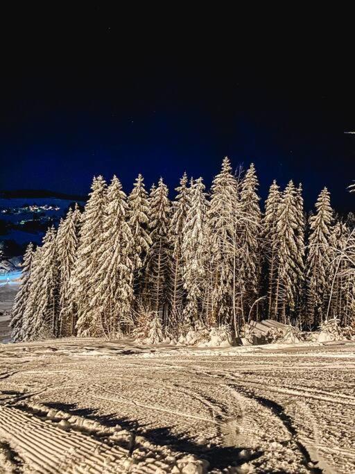 Ferienwohnung "Am Skilift" Herrischried Esterno foto