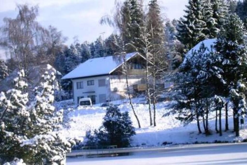 Ferienwohnung "Am Skilift" Herrischried Esterno foto