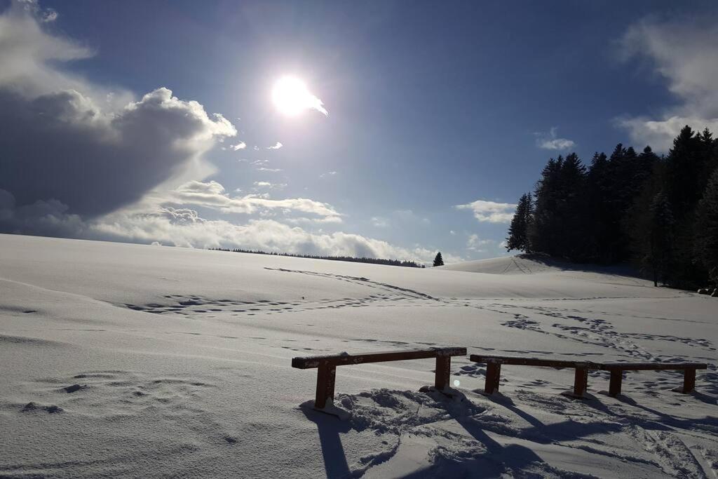 Ferienwohnung "Am Skilift" Herrischried Esterno foto