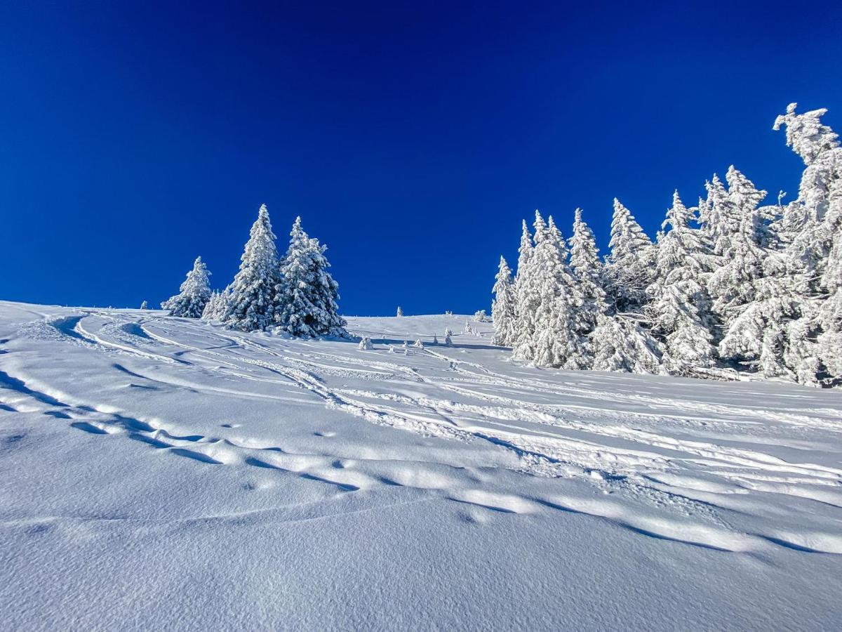 Ferienwohnung "Am Skilift" Herrischried Esterno foto