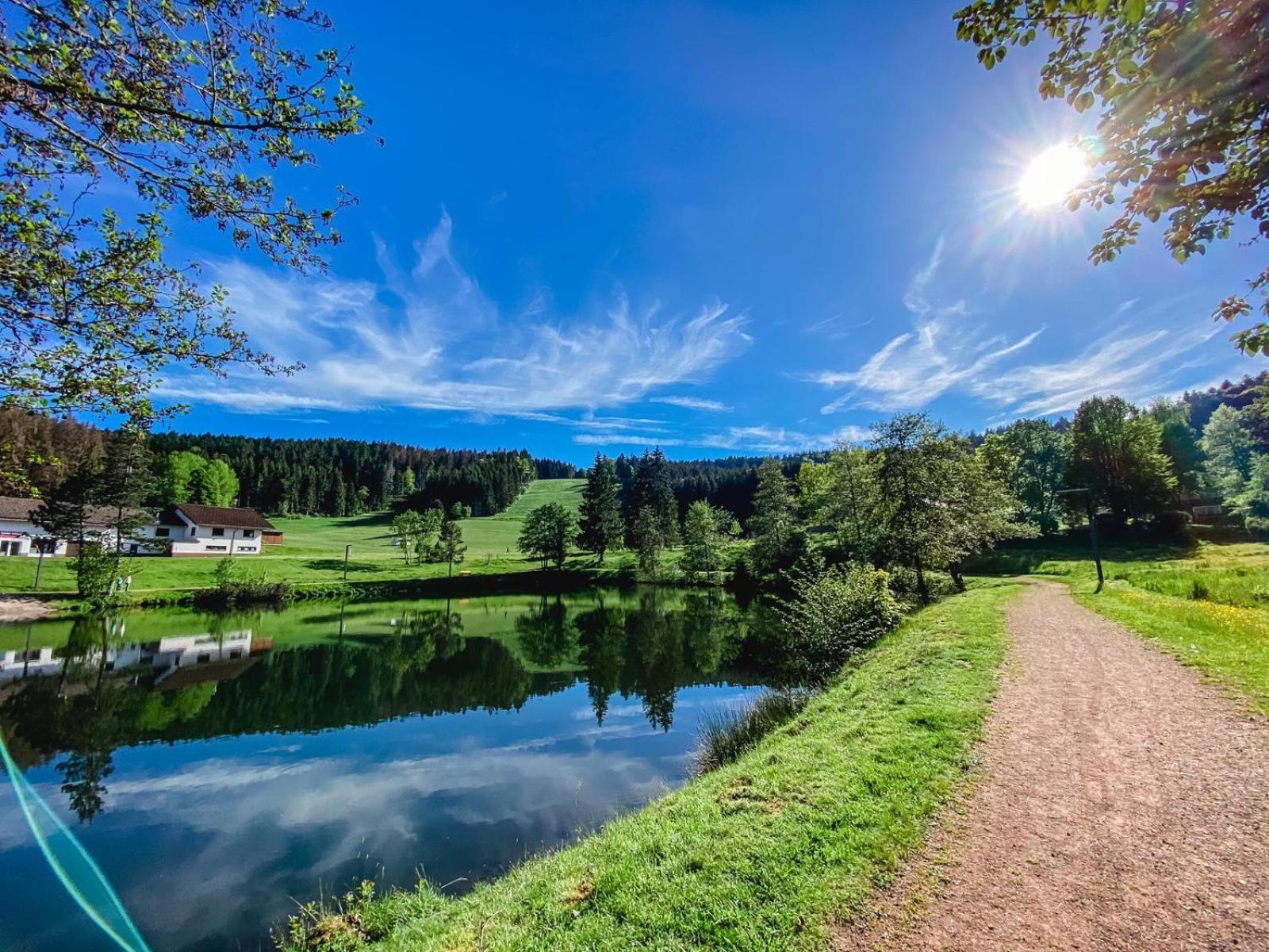 Ferienwohnung "Am Skilift" Herrischried Esterno foto